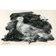 Pigeon at ses petits (Pigeon and its little ones) (19.3.1947)