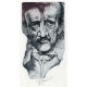 Zánik domu Usherů (Poe)