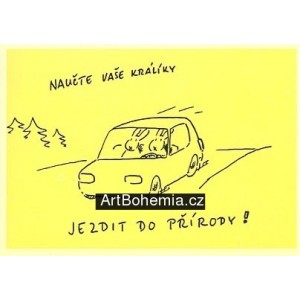 Naučte vaše králíky jezdit do přírody!