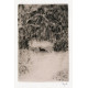 Kocourek na sněhu (1948)