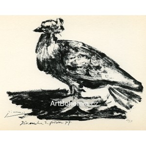 Le gros pigeon (The Fat pigeon) (2.2.1947)